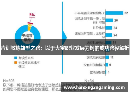 青训教练转型之路：以于大宝职业发展为例的成功路径解析