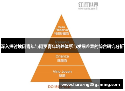 深入探讨埃因青年与阿贾青年培养体系与发展差异的综合研究分析